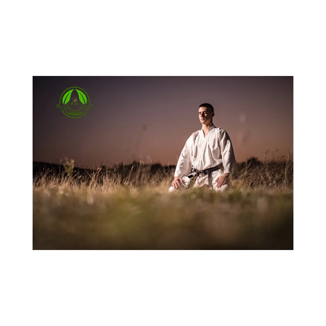 Vechtsport en mediatie