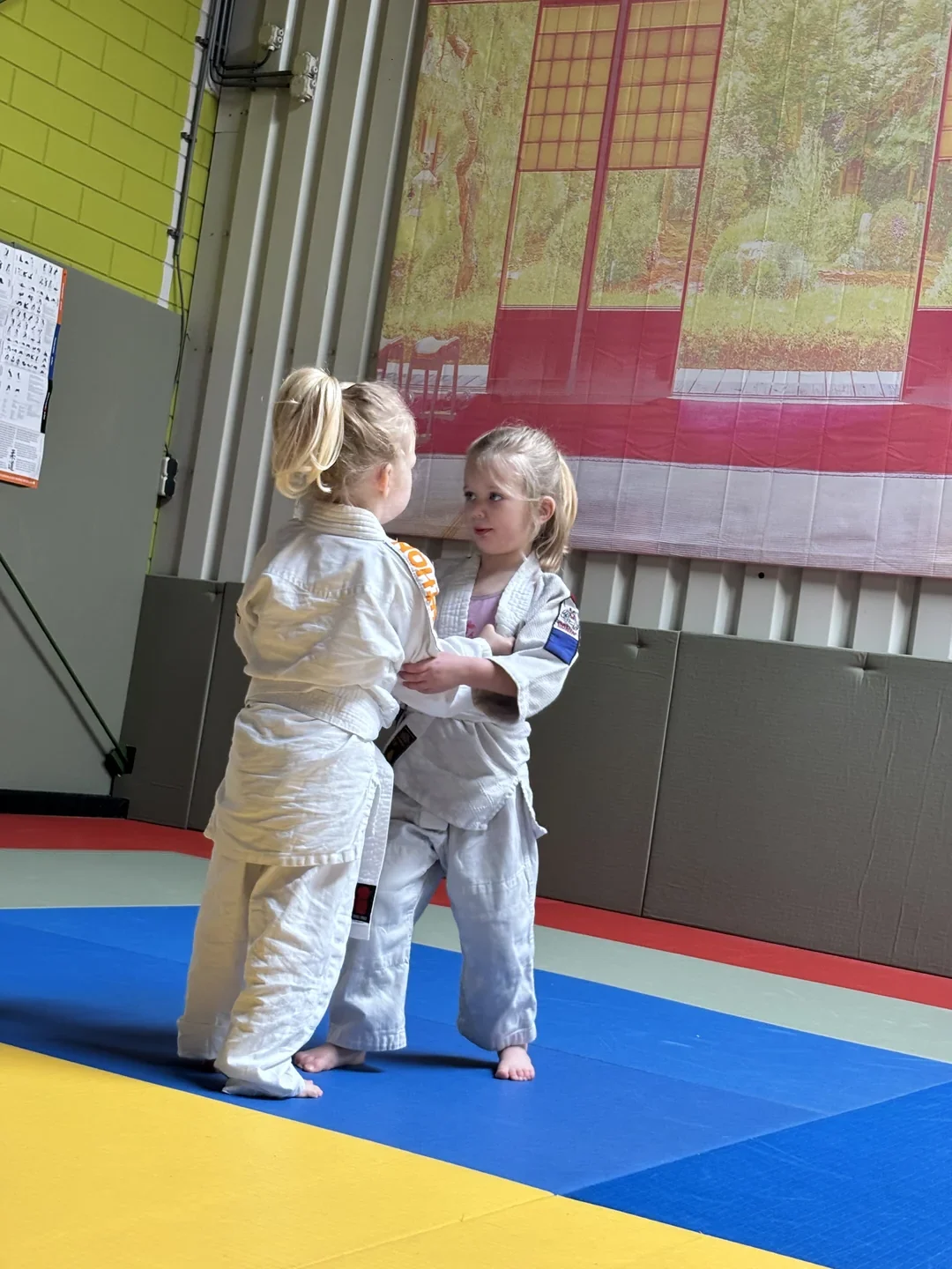 Kinderen oefenen samen tijdens Peuter & Kleuter Budo bij Tryitout